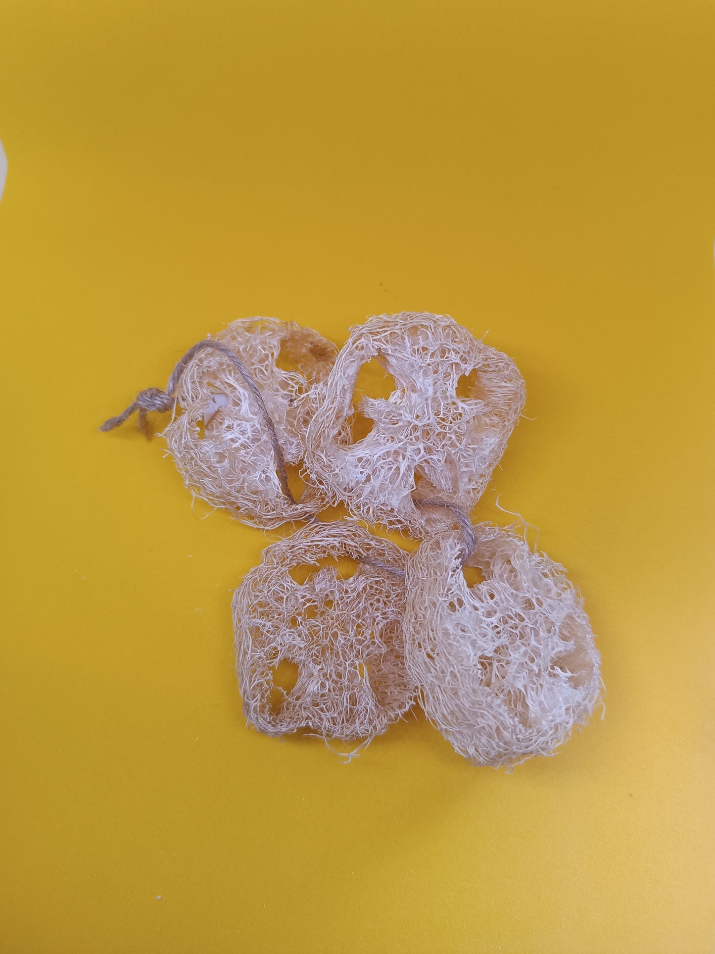 4 x Luffaschwämme klein